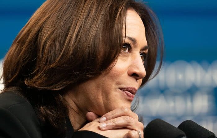 Vice President Kamala Harris makes comments at the White House.