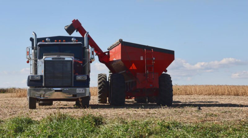 A farmer harvests soybeans in Markham, Ontario, Canada, on September 30, 2024. (Photo by Creative Touch Imaging Ltd./NurPhoto via Getty Images)